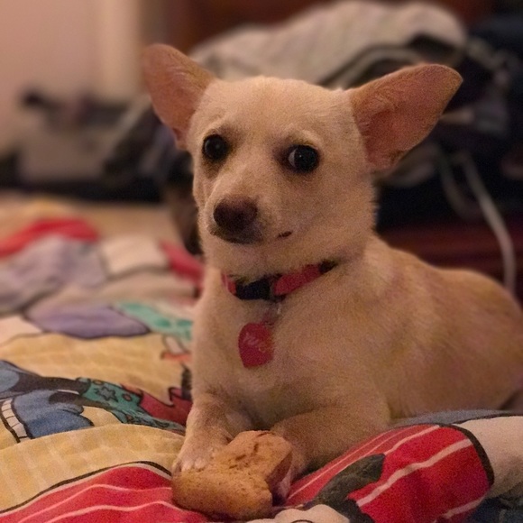 Meet your Posher, Sarah - Picture 1 of 1